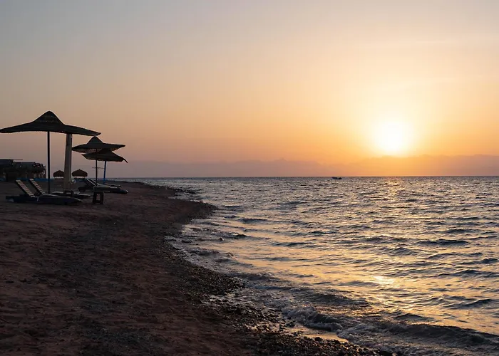 Manta Nuweiba`